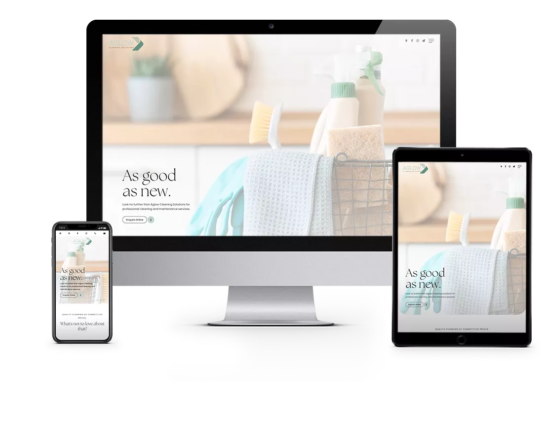 Website Example 2